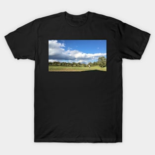 Beautiful Day T-Shirt